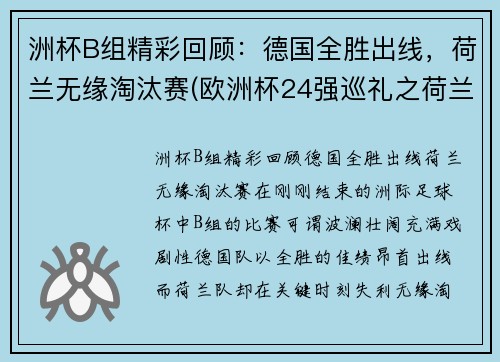 洲杯B组精彩回顾：德国全胜出线，荷兰无缘淘汰赛(欧洲杯24强巡礼之荷兰)